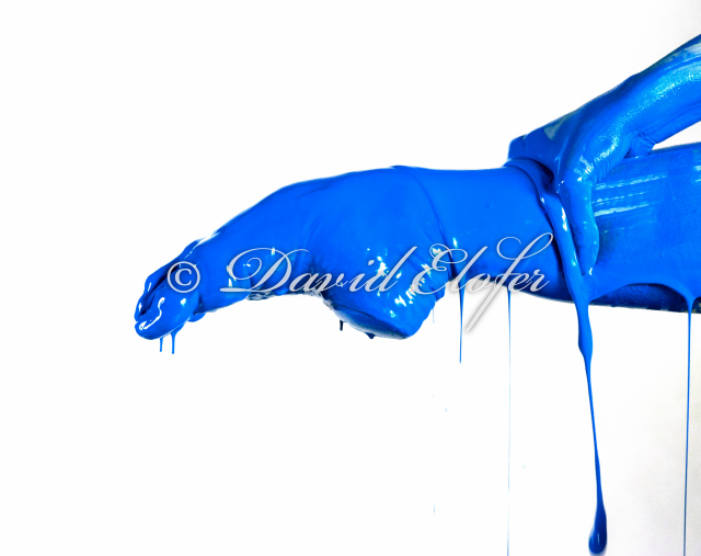 0309-Photos-David-Elofer-©