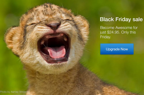 Affiche Blackfriday 500px