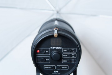 Profoto