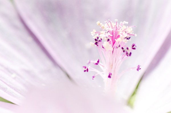Interview Photographe – Guillaume Feutren