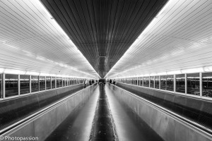 Photopassion - Reportage photo -61
