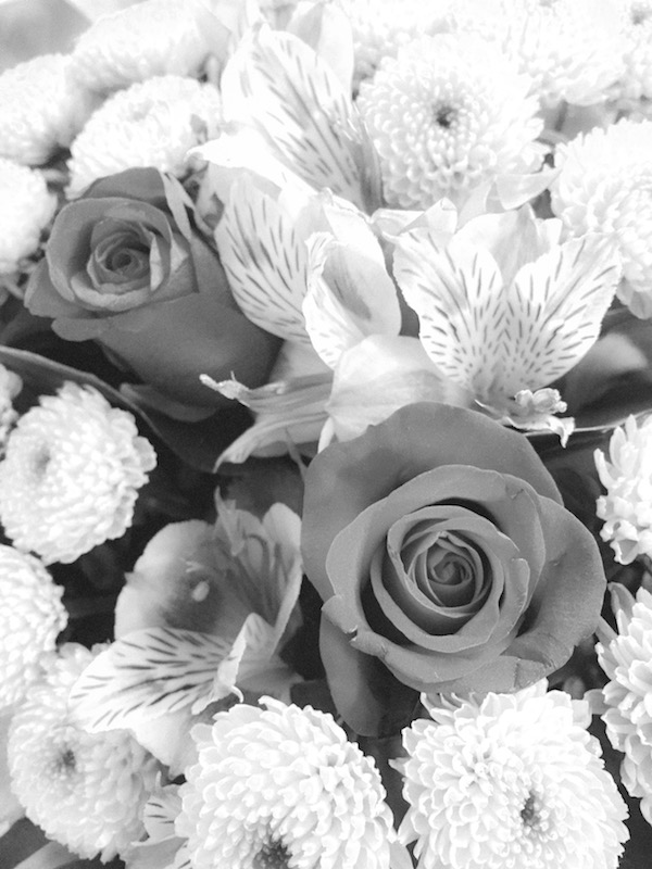 Photopassion - Aviary 5