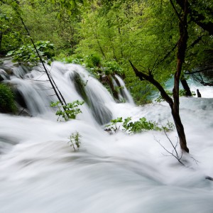 Photopassion - Vitesse - 2