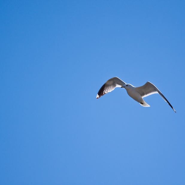 Photopassion - Vitesse - 4