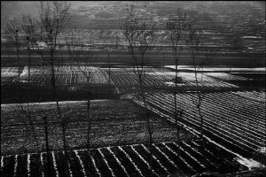 Photopassion - Martine Franck 3