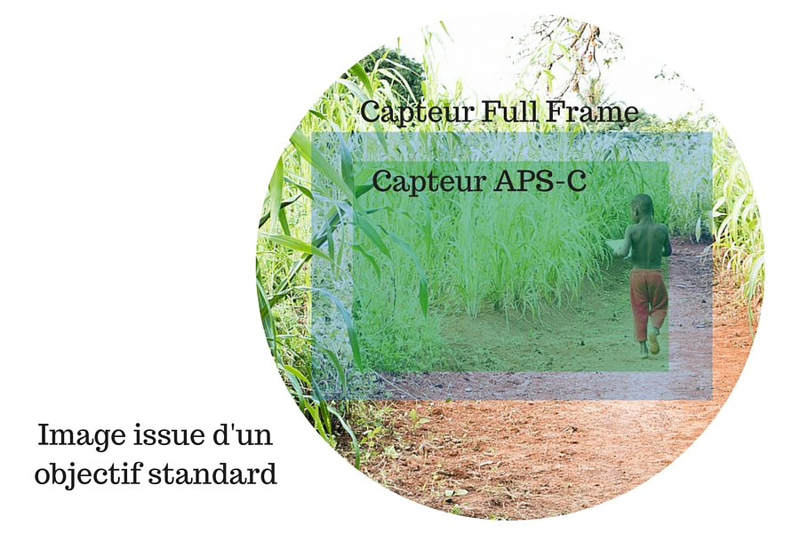 Photopassion - Facteur Crop - 1