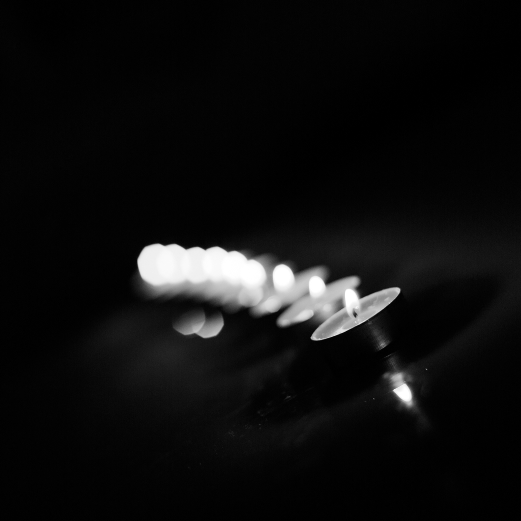 Projet 365-9