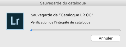 Photopassion - Processus de sauvegarde