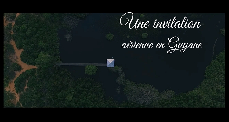 Une invitation aérienne en Guyane