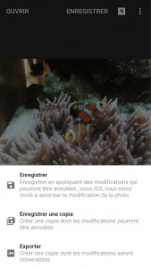 Photopassion_application_snapseed_enregistrement
