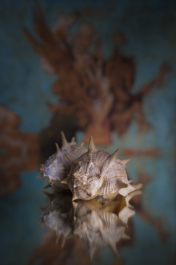 elisabeth-marty-persee