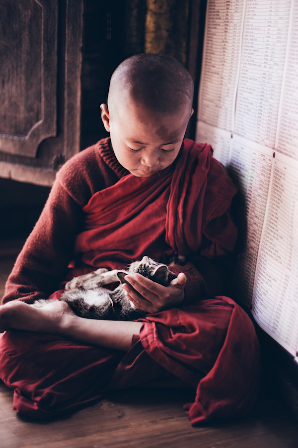 frank-ryckewaert-monk-and-cat