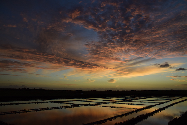 elza-fack-coucher-sur-le-marais