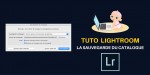 Pourquoi et comment sauvegarder son catalogue Lightroom